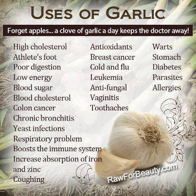 garlic.jpeg