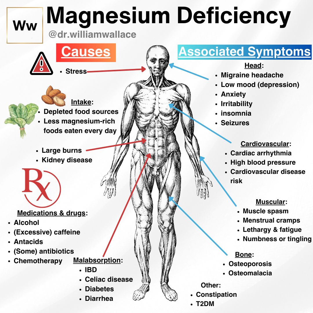 magnesium_def.jpeg